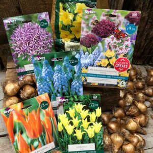 Bulbs