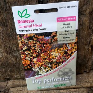 Nemesia Carnival Mixed