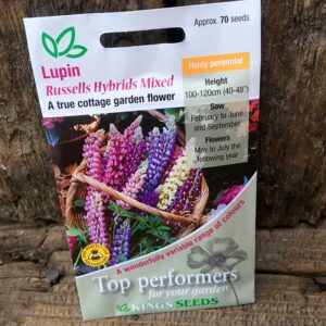 Lupin Russell Mixed Colours