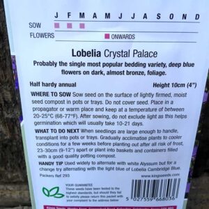 Lobelia Crystal Palace