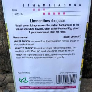 Limnanthes Douglasii