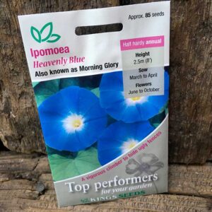 Ipomoea Heavenly Blue