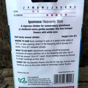 Ipomoea Heavenly Blue