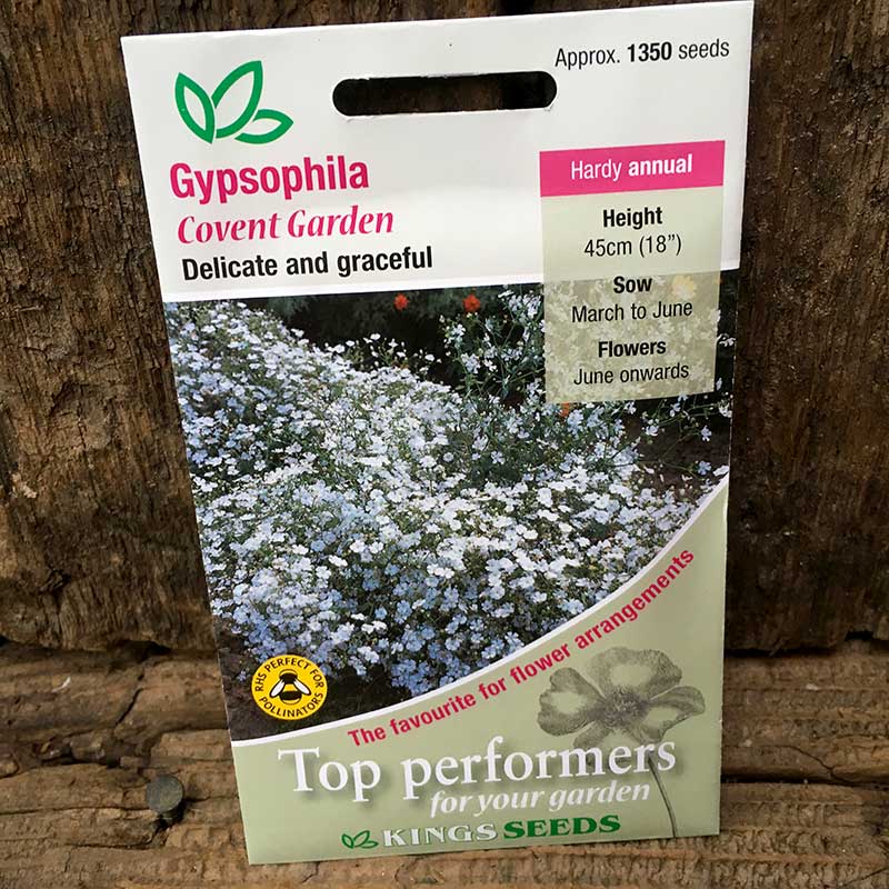 Gypsophila Covent Garden