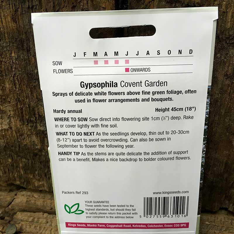 Gypsophila Covent Garden - Image 2