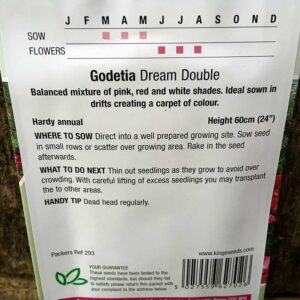 Godetia Dream Double