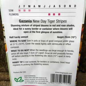 Gazania New Day Tiger Stripes