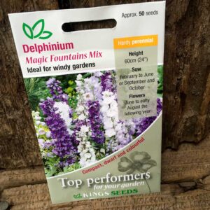 Delphinium Magic Fountains Mixed