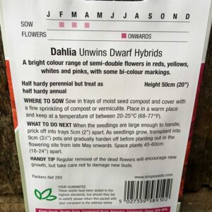 Dahlia Unwins Dwarf
