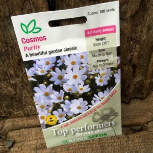 Cosmos Purity