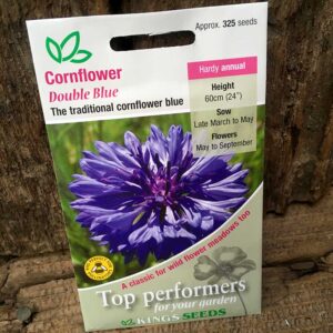 Cornflower Double Blue