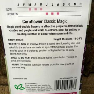 Cornflower Classic Magic
