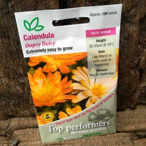 Calendula Oopsy Daisy