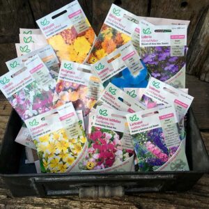 Seeds Flowers