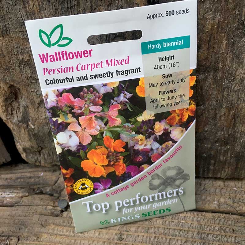 Wallflower Persian Carpet Mixed