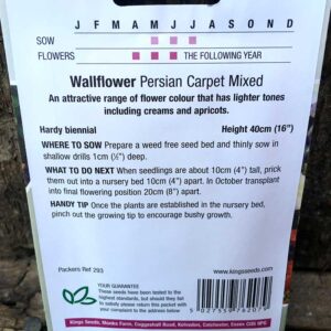 Wallflower Persian Carpet Mixed