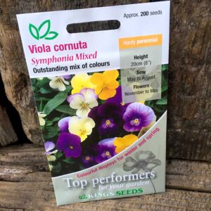 Viola Symphonia