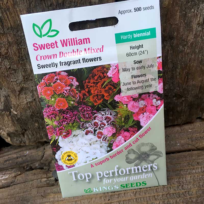 Sweet William Crown Double Mixed