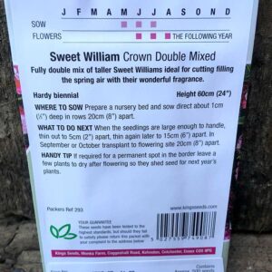 Sweet William Crown Double Mixed