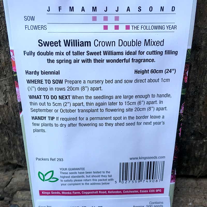 Sweet William Crown Double Mixed - Image 2