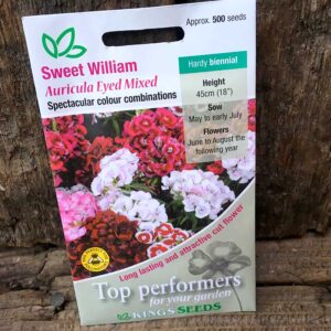 Sweet William Auricula Eyed Mixed