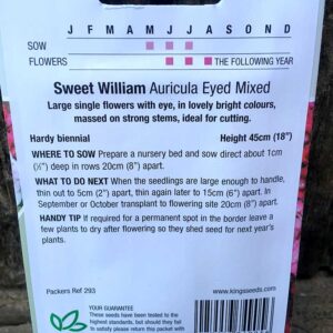 Sweet William Auricula Eyed Mixed