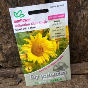 Sunflower Giant Single