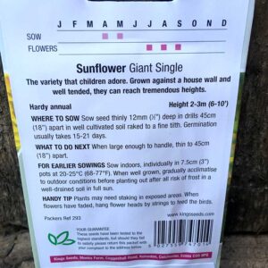 Sunflower Giant Single