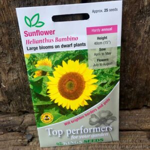 Sunflower Bambino