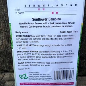 Sunflower Bambino
