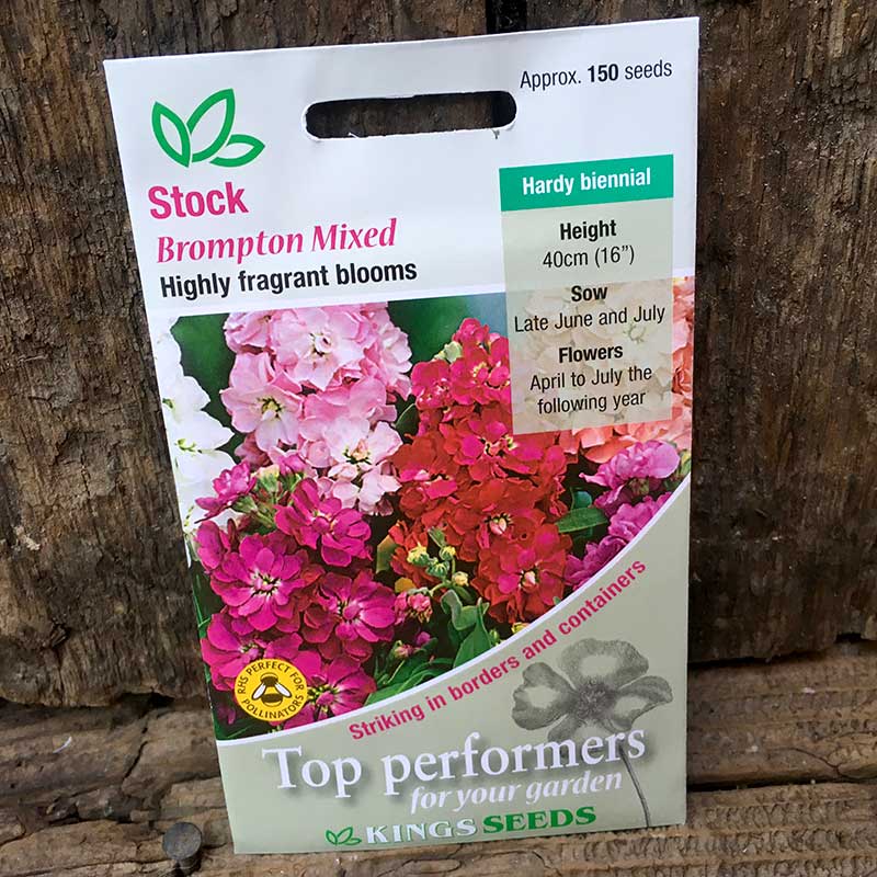 Stock Brompton Mixed – Markeaton Garden Centre