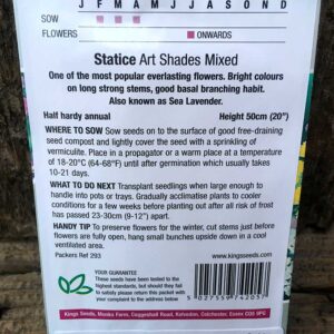 Statice Art Shades Mixed