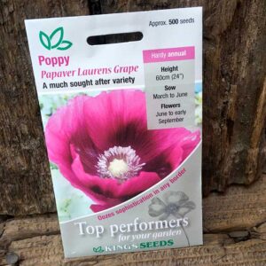 Papaver Laurens Grape