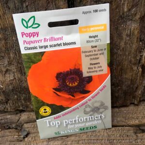 Poppy Brilliant Scarlet