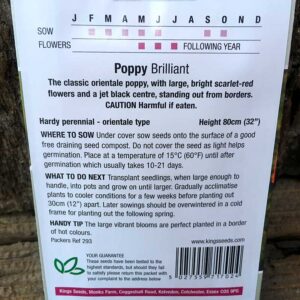 Poppy Brilliant Scarlet