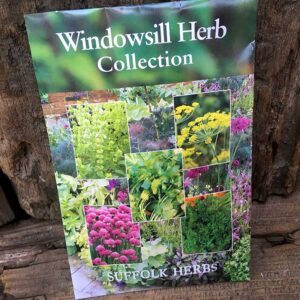 Windowsill Herb Collection