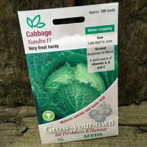 Cabbage Tundra F1