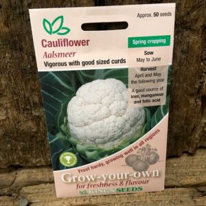 Cauliflower Aalsmeer