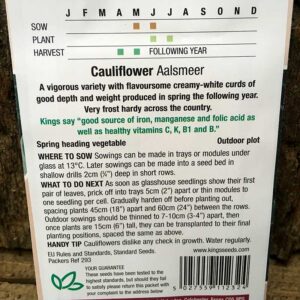 Cauliflower Aalsmeer