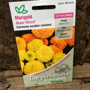 Marigold African Dune Mixed