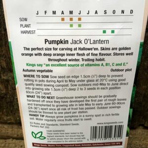 Pumpkin Jack O’Lantern