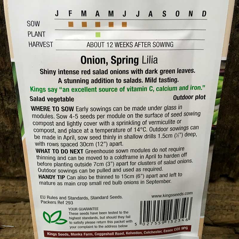 Onion Spring Lilia (salad) - Image 2