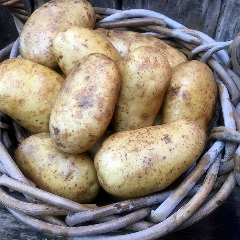 Potatoes International Kidney - Salad - 2kg - Image 2