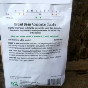 Broad Bean Aquadulce Claudia