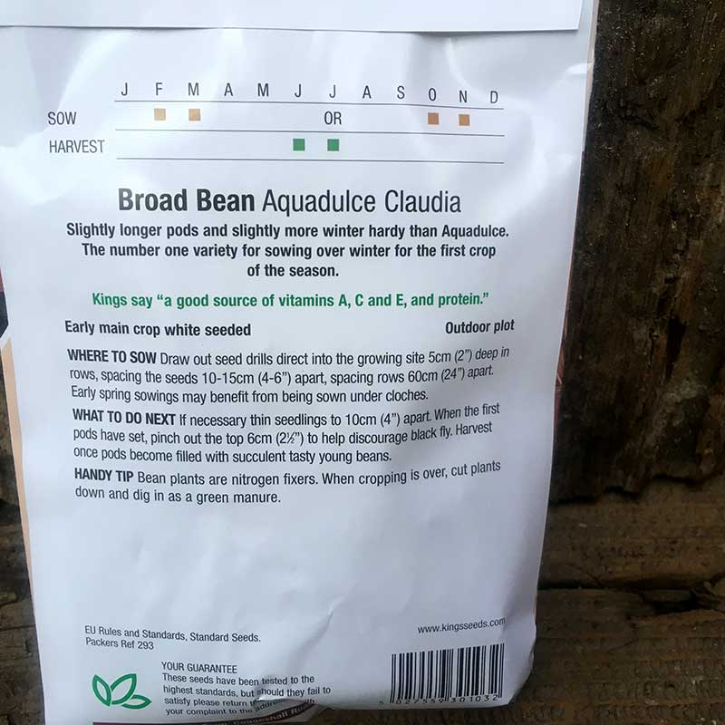 Broad Bean Aquadulce Claudia - Image 2
