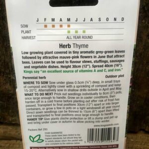 Thyme Perennial (Seeds)