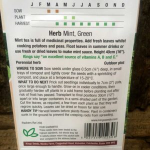 Mint Green Perennial