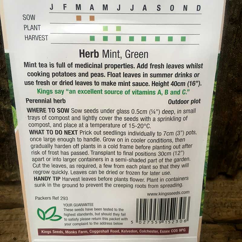 Mint Green Perennial - Image 2