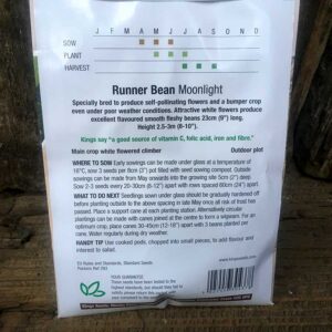 Runner Bean Moonlight (RHS Award of Garden Merit)