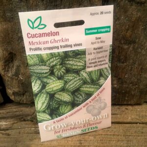Cucamelon